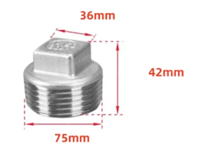 316 2.5 inch 2-1/2 Stainless steel plugs